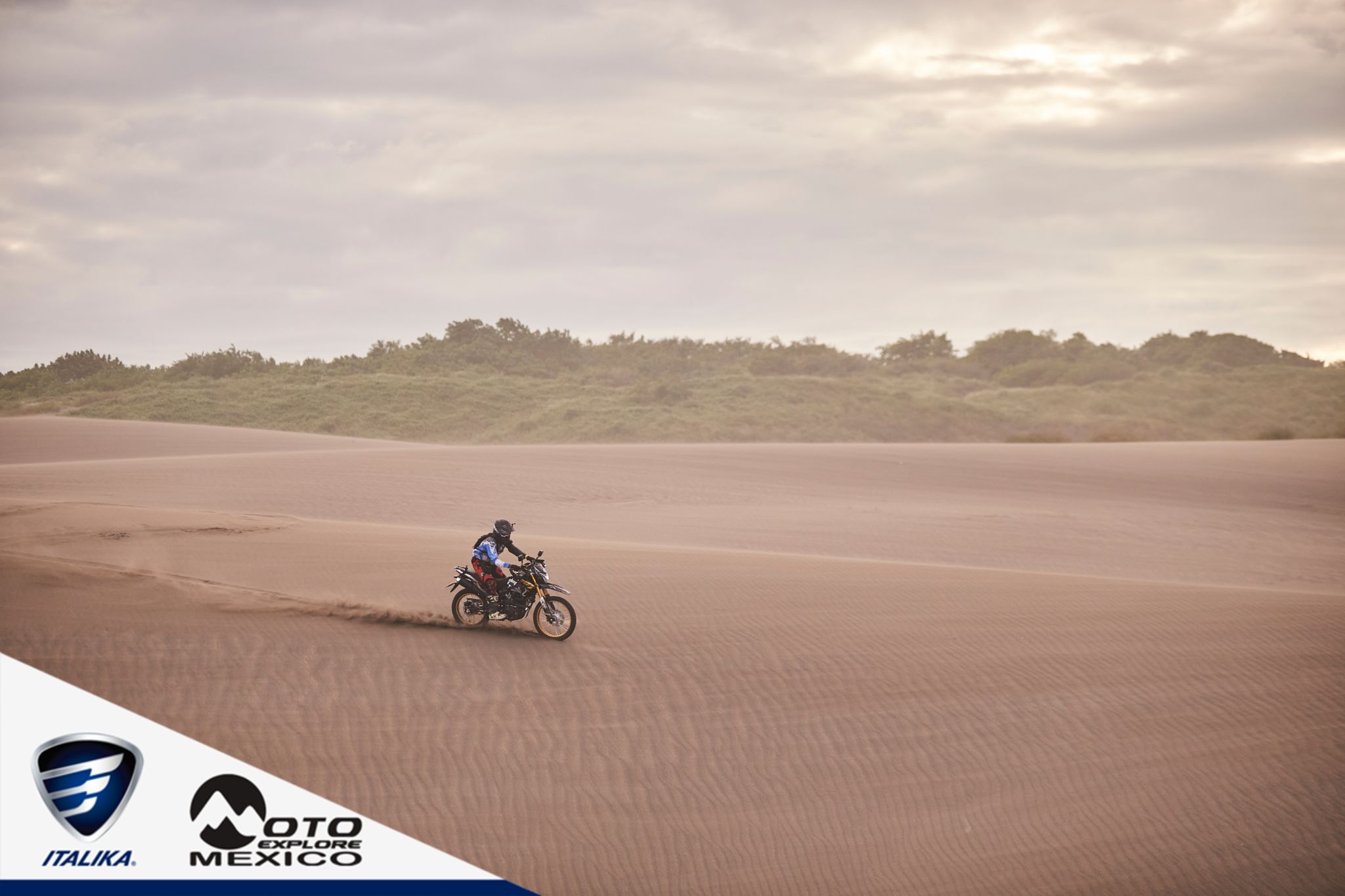 ITALIKA CHACHALACAS D2 498